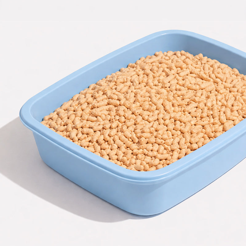 Kitty Litter