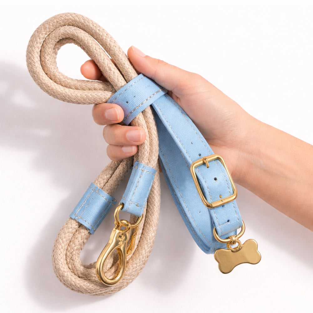 Pet Accessories