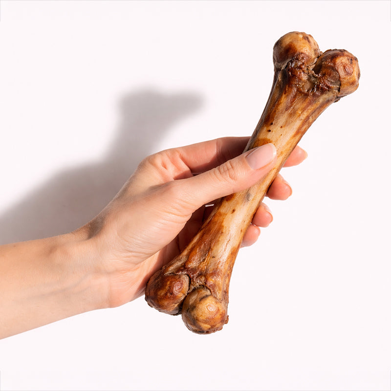 Dog Treats