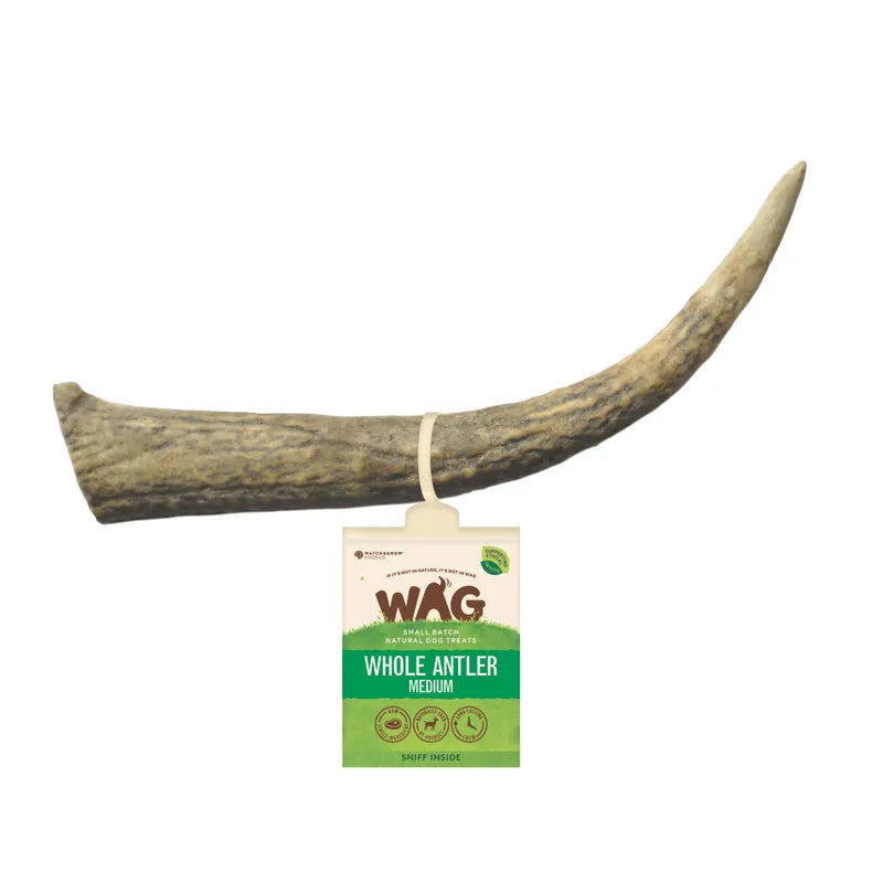 Wag Antler Whole Medium