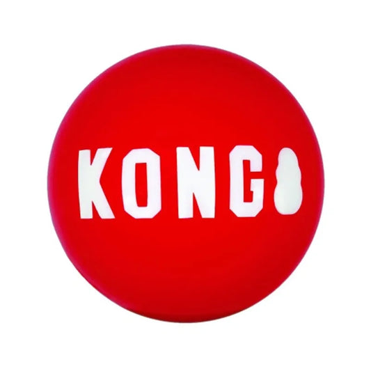 KONG Signature Balls - 2 Pack Medium
