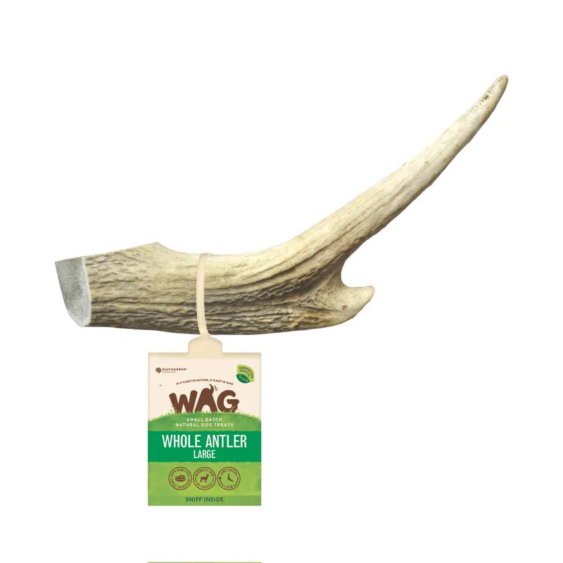 Wag Antler Whole Large