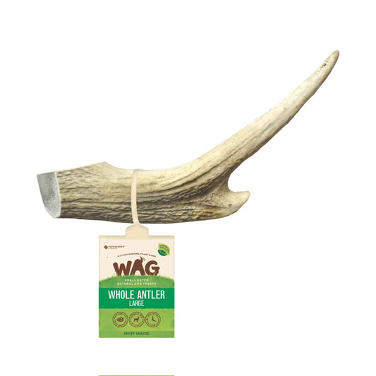 Wag Antler Whole Large