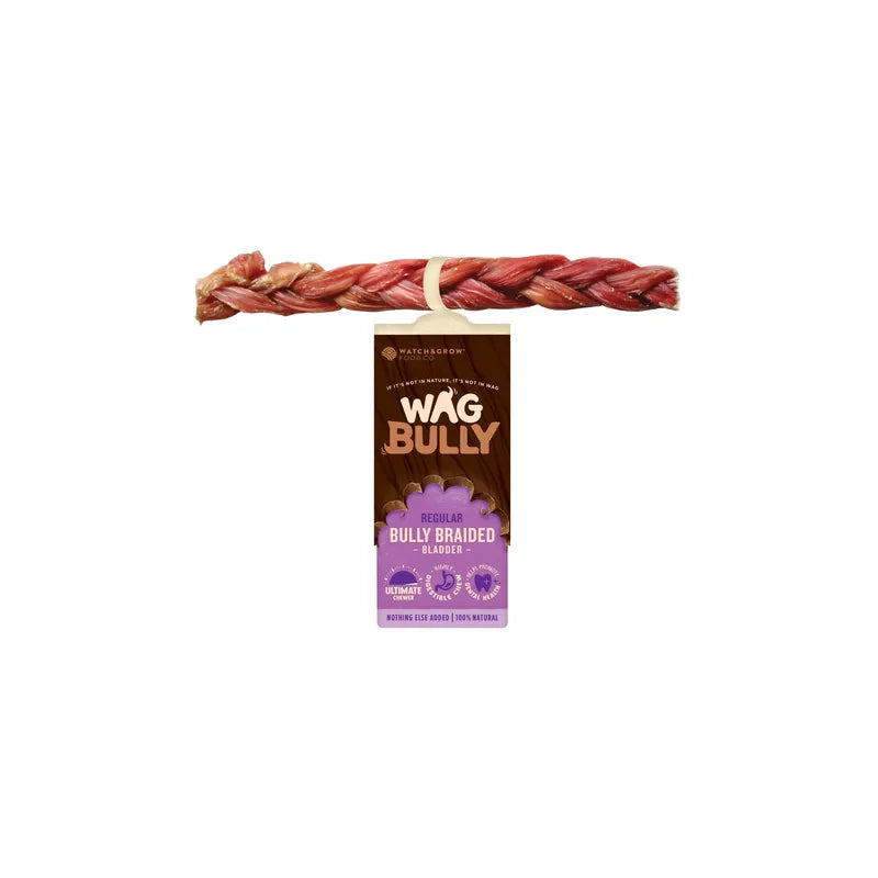 Wag Braided Bully Stick Regular