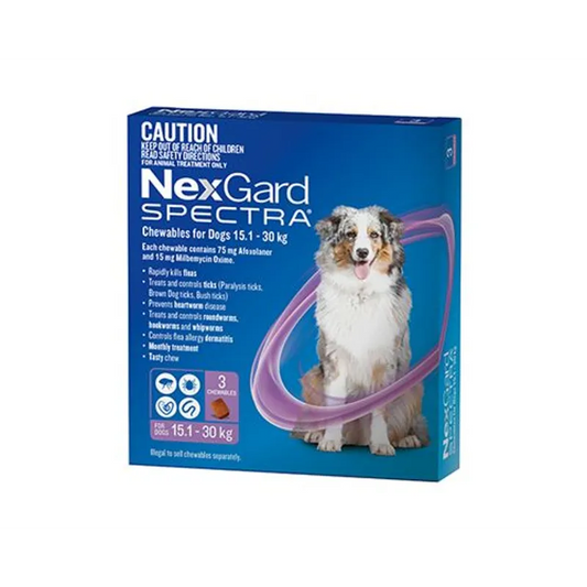 NexGard Spectra for Dogs 15.1-30kg Purple - 3 Pack