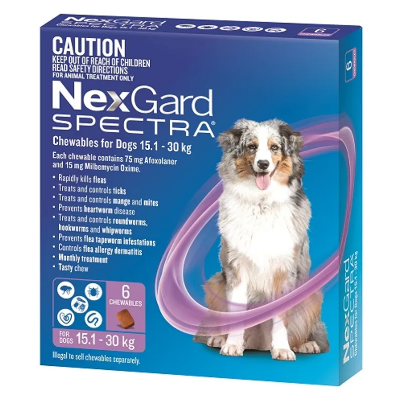 NexGard Spectra for Dogs 15.1-30kg Purple - 6 Pack