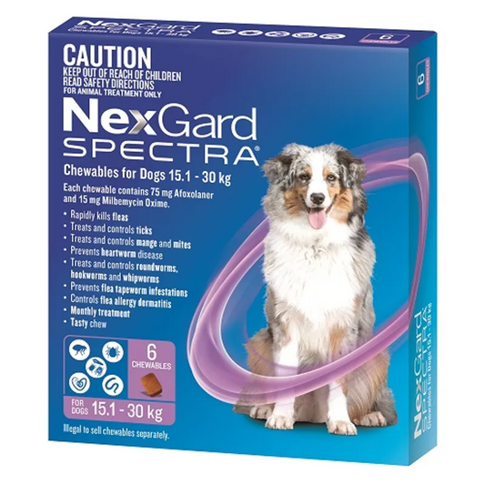 NexGard Spectra for Dogs 15.1-30kg Purple - 6 Pack