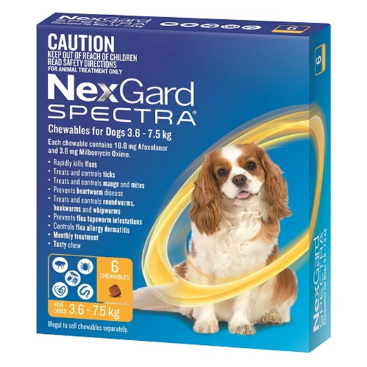 NexGard Spectra for Dogs 3.6-7.5kg Yellow - 6 Pack